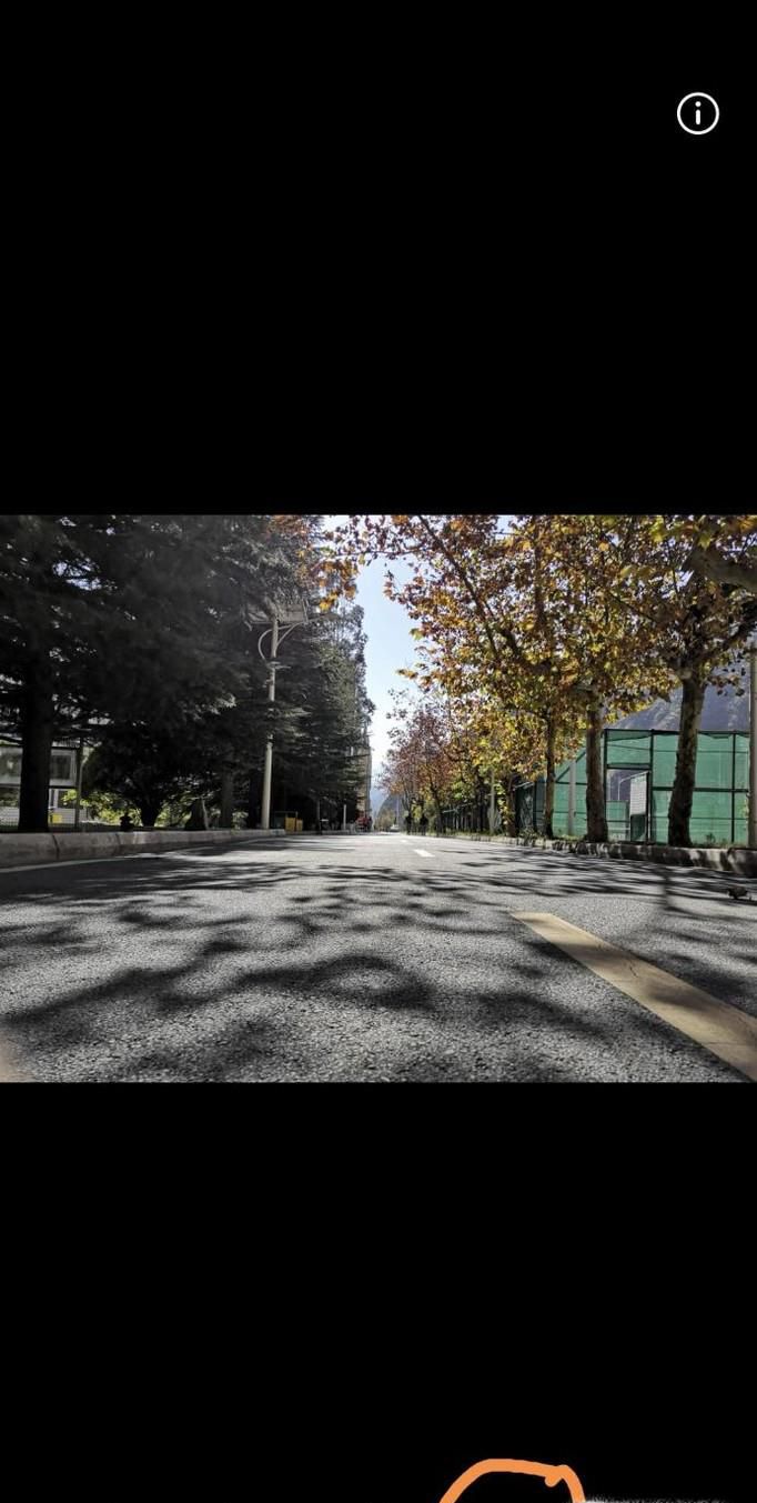 如何把图片变成黑白的和纯黑白的图片