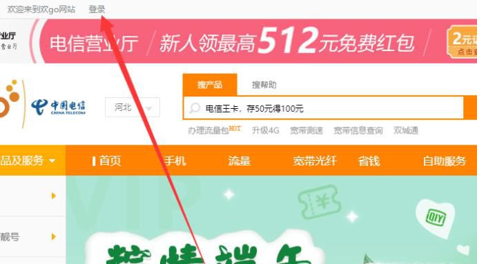 怎么在网上查询中国电信号码的通话记录