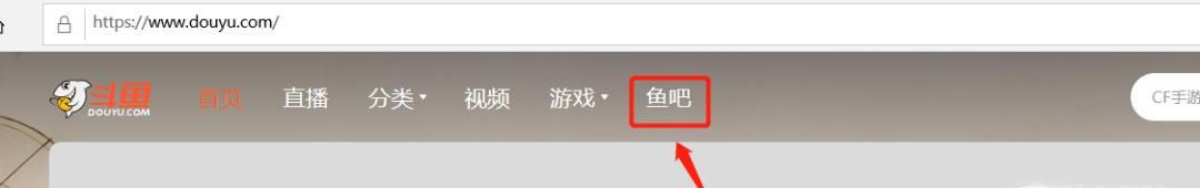 斗鱼怎么进行鱼吧