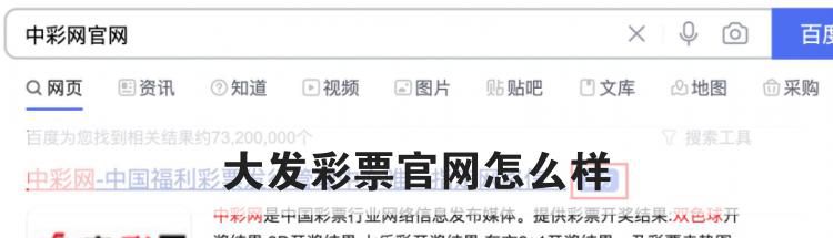 大发彩票官网怎么样