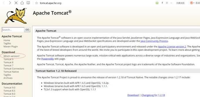 Tomcat下载安装经验教程
