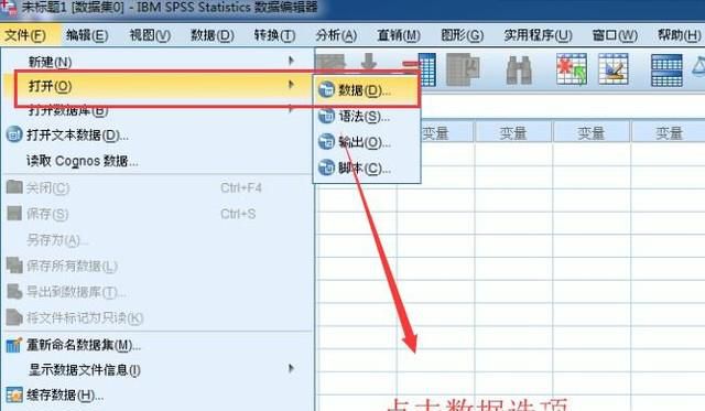 SPSS中如何对数据进行排序
