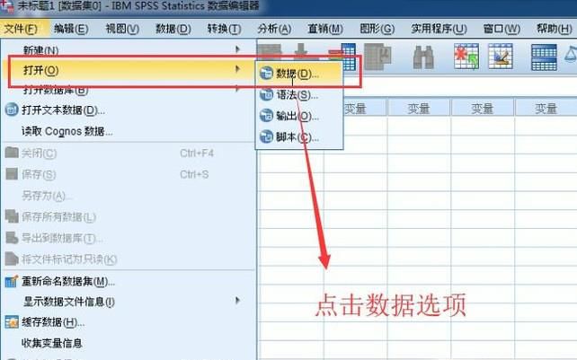 如何运用SPSS软件对数据文件进行分类汇总