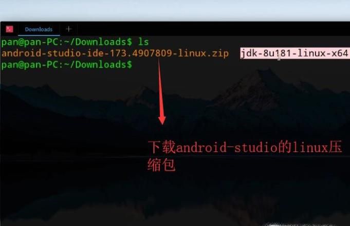 如何在Linux系统下安装Android Studio