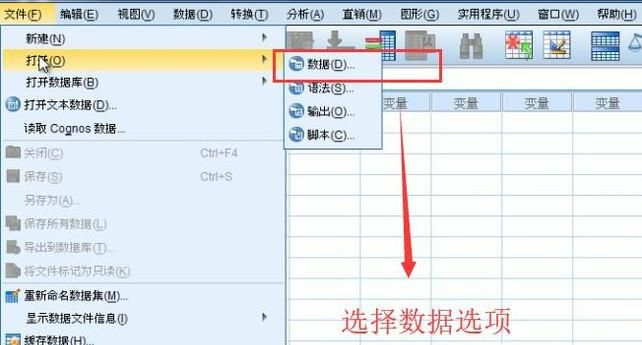 如何在SPSS中对个案等级排序