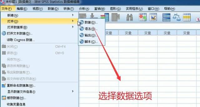 如何在SPSS软件中对数据进行描述性统计分析