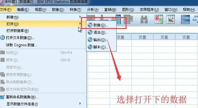 如何在SPSS分析软件中进行频数分析