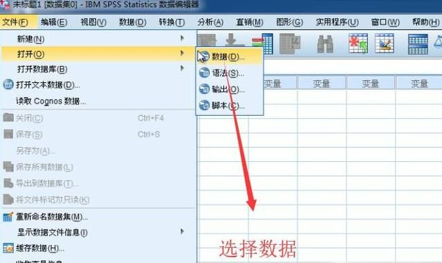 如何使用SPSS进行平均值校验