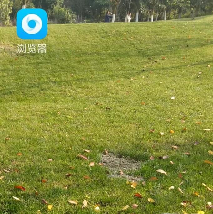 浏览器收藏夹不小心删除了怎么找回?