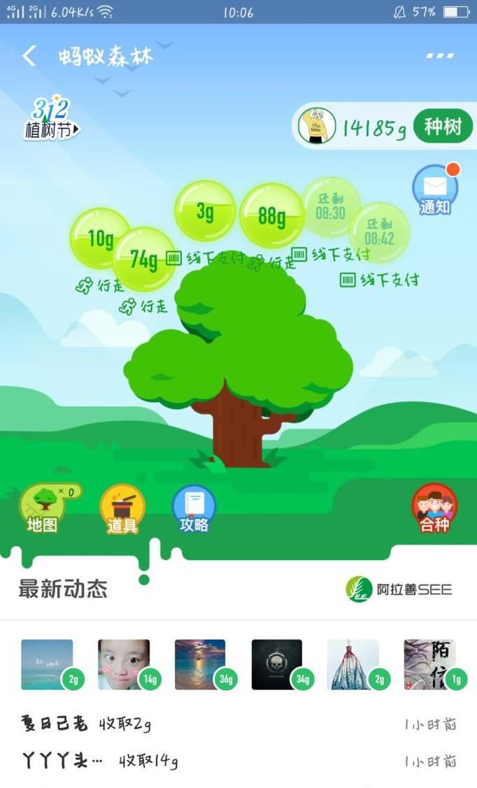 支付宝蚂蚁森林大树养成了如何领取种苗