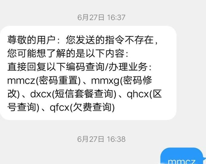 手机运营商服务密码怎么查