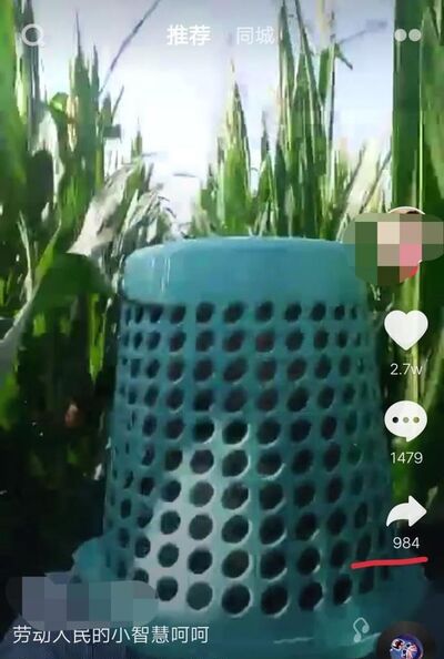 抖音怎么合拍左右视频