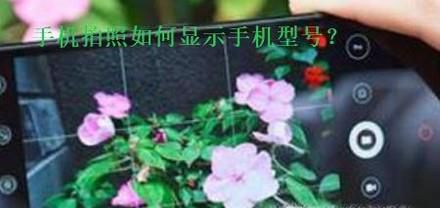 手机拍照怎么显示手机型号