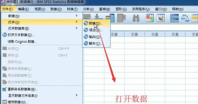 SPSS软件中如何对数据进行转置