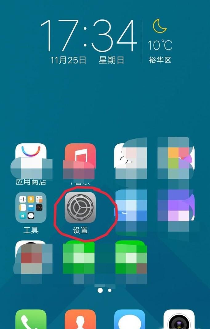 手机上的开发者选项在哪里