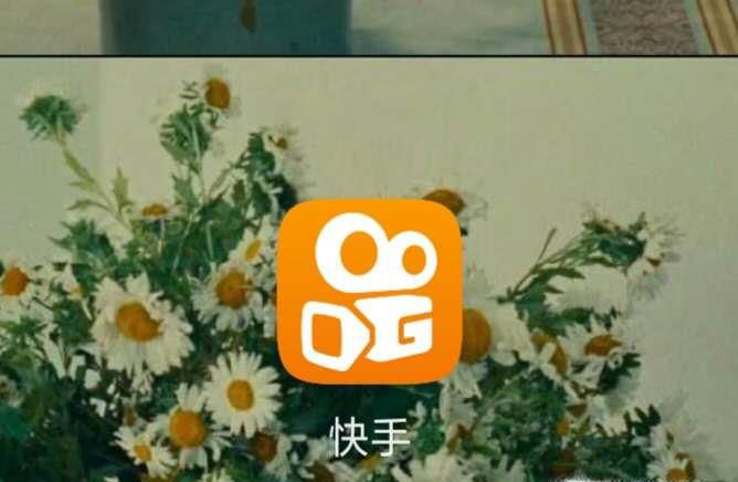 快手怎么下载无水印视频,快手怎么去除视频水印