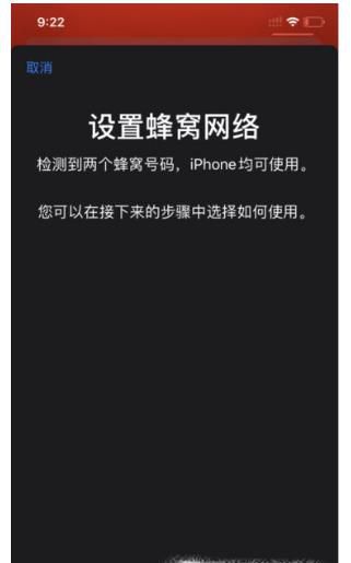 iPhone 11的双卡双待功能如何设置?