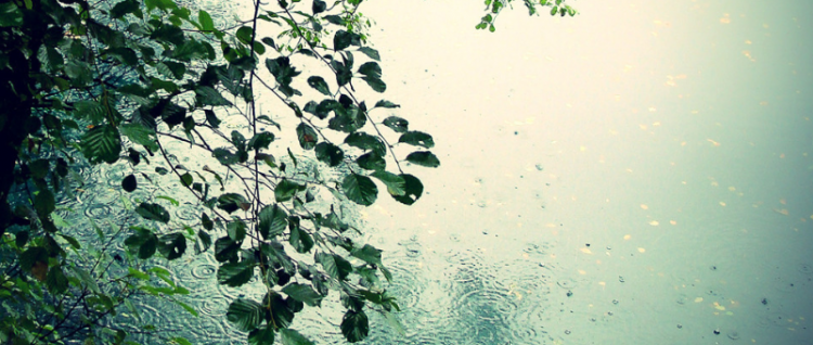 下雨天发的说说有哪些?