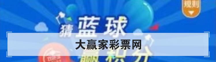 大赢家彩票网是什么APP