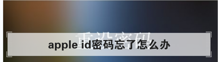 apple id密码忘了怎么办