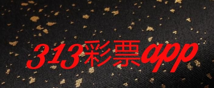 313彩票app最新版在哪里下载