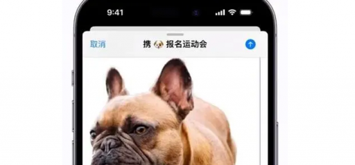 ios16如何抠图