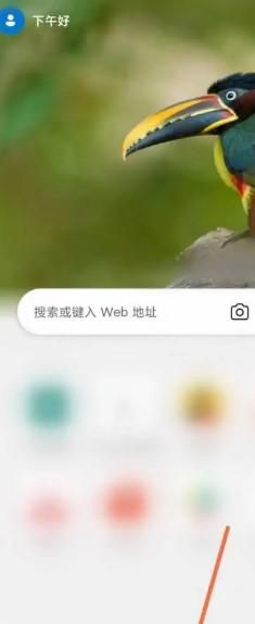 手机edge浏览器网页怎么翻译