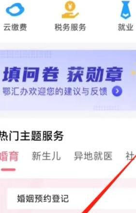 鄂汇办如何缴纳交通罚款