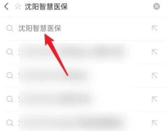 辽宁省医保缴费如何网上缴费