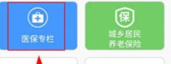 湖南智慧人社怎么交医疗保险