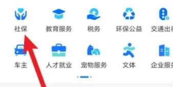 个人缴纳养老保险如何交费