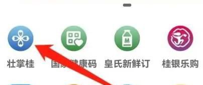 城市合作医疗网上怎样交
