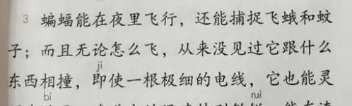夜间飞行的秘密要怎么做笔记