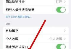 iphone13手机浏览器如何设置扩展