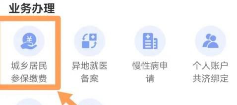 阜阳医疗保障如何缴费