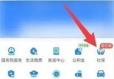 城乡居民医保如何停保