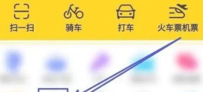 捡到小猫咪要怎样处理