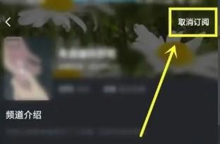 酷狗概念版订阅的频道怎么取消