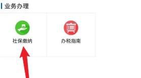 石家庄居民医保缴费怎样网上缴费