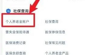 城乡居民养老保险怎样查询缴费记录