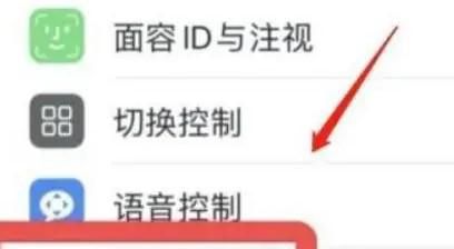 iPhone11Pro手机侧边键如何设置最慢点按速度