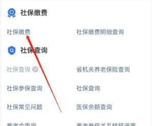 丹东医保如何网上缴费