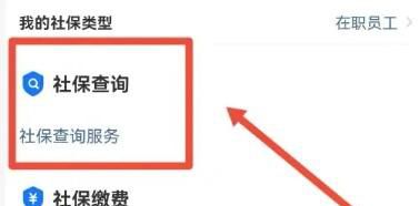 社保缴费汇总单如何查