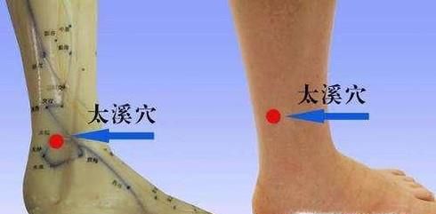 太溪穴位位置图和作用