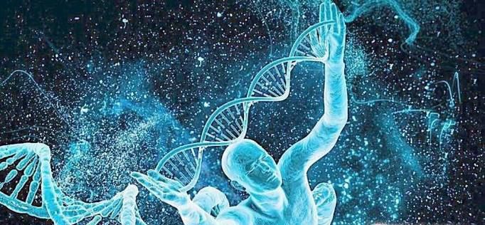 人与哪种动物的基因最接近