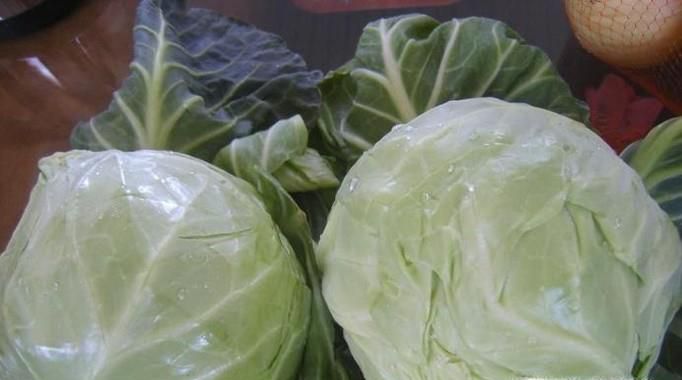 如何用卷心菜腌制泡菜