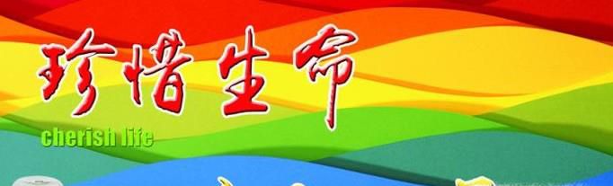 珍爱生命的理由
