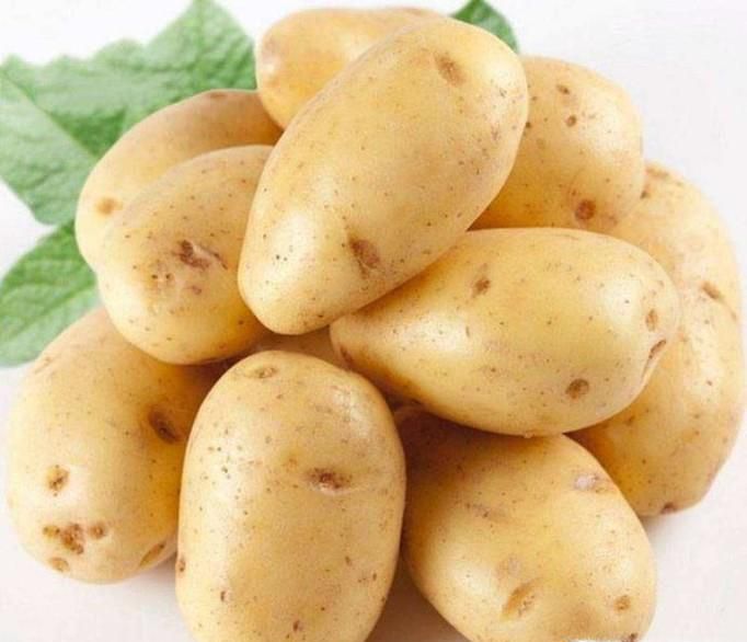 如何做土豆炖排骨