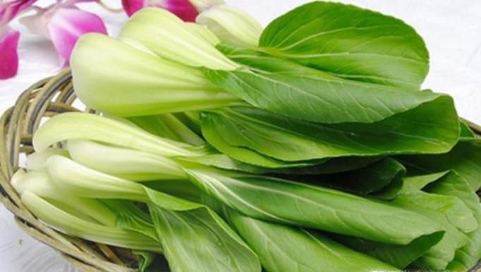 怎样挑选小白菜