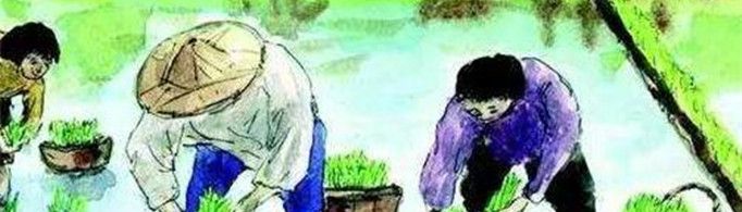 《乡村四月》古诗的意思是什么？
